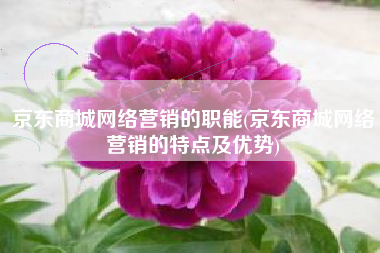 京东商城网络营销的职能(京东商城网络营销的特点及优势)