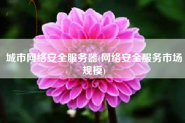 城市网络安全服务器(网络安全服务市场规模)