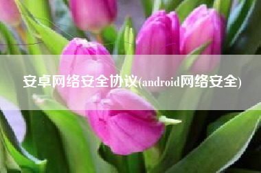 安卓网络安全协议(android网络安全)