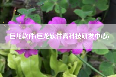 巨龙软件(巨龙软件高科技研发中心)