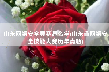 山东网络安全竞赛怎么学(山东省网络安全技能大赛历年真题)