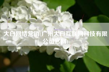 大白网络营销(广州大白互联网科技有限公司官网)