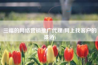 三福的网络营销推广代理(网上找客户的渠道)