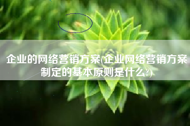 企业的网络营销方案(企业网络营销方案制定的基本原则是什么?)