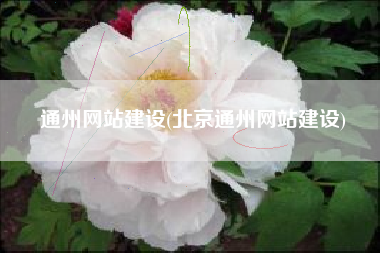 通州网站建设(北京通州网站建设)
