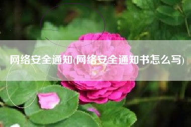 网络安全通知(网络安全通知书怎么写)