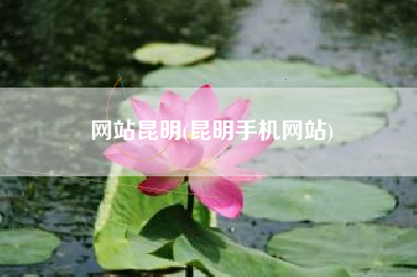 网站昆明(昆明手机网站)