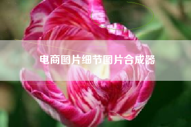 电商图片细节图片合成器