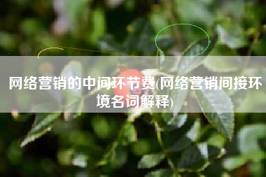 网络营销的中间环节费(网络营销间接环境名词解释)