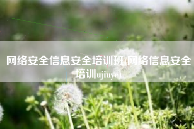 网络安全信息安全培训班(网络信息安全培训ujiuye)