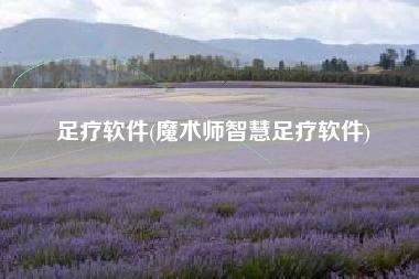足疗软件(魔术师智慧足疗软件)