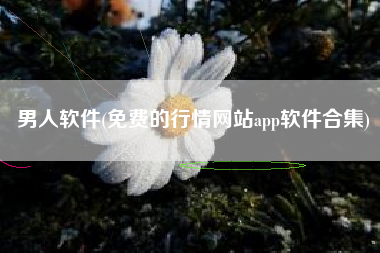 男人软件(免费的行情网站app软件合集)
