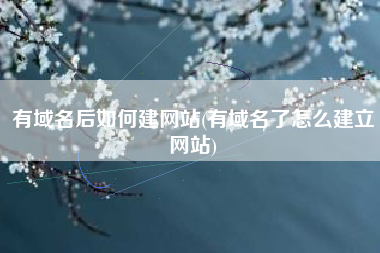 有域名后如何建网站(有域名了怎么建立网站)