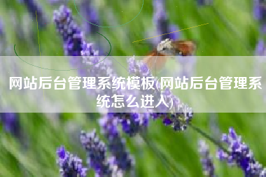 网站后台管理系统模板(网站后台管理系统怎么进入)