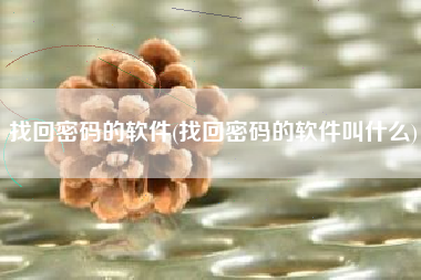 找回密码的软件(找回密码的软件叫什么)