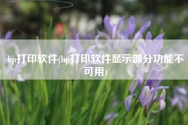 hp打印软件(hp打印软件显示部分功能不可用)