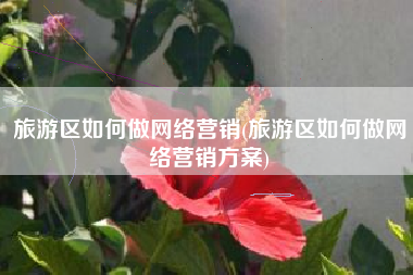 旅游区如何做网络营销(旅游区如何做网络营销方案)