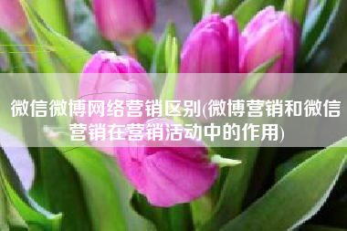 微信微博网络营销区别(微博营销和微信营销在营销活动中的作用)