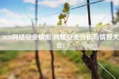 2020网络安全情报(网络安全分析与情报大会)