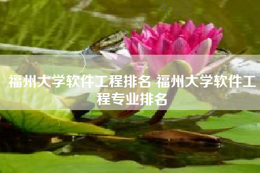 福州大学软件工程排名 福州大学软件工程专业排名