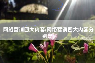 网络营销四大内容(网络营销四大内容分别是)