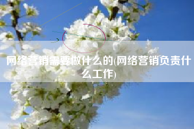 网络营销需要做什么的(网络营销负责什么工作)