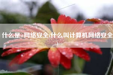 什么是it网络安全(什么叫计算机网络安全)