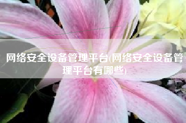 网络安全设备管理平台(网络安全设备管理平台有哪些)