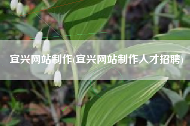 宜兴网站制作(宜兴网站制作人才招聘)