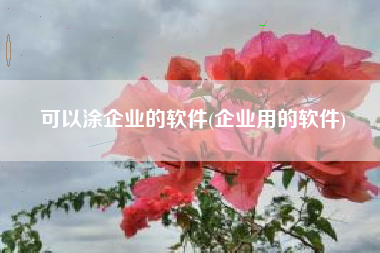 可以涂企业的软件(企业用的软件)