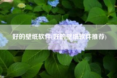 好的壁纸软件(好的壁纸软件推荐)