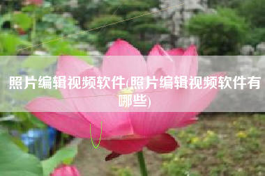 照片编辑视频软件(照片编辑视频软件有哪些)