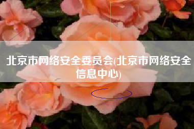 北京市网络安全委员会(北京市网络安全信息中心)