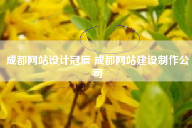 成都网站设计冠辰 成都网站建设制作公司