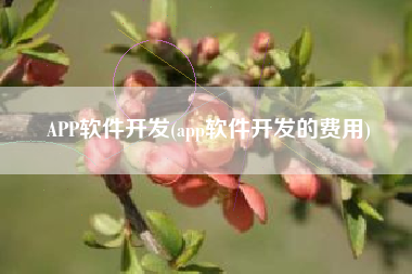 APP软件开发(app软件开发的费用)