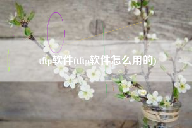 tftp软件(tftp软件怎么用的)