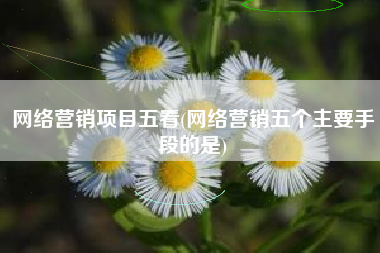 网络营销项目五看(网络营销五个主要手段的是)