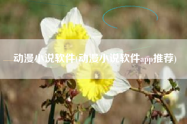 动漫小说软件(动漫小说软件app推荐)