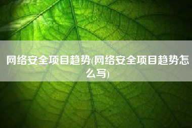 网络安全项目趋势(网络安全项目趋势怎么写)