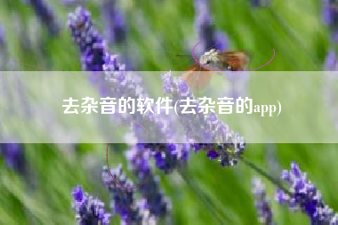 去杂音的软件(去杂音的app)
