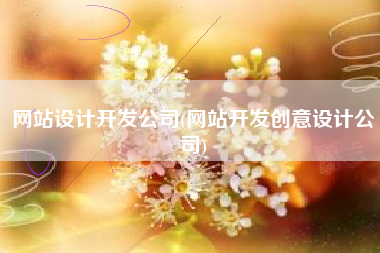 网站设计开发公司(网站开发创意设计公司)