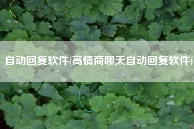 自动回复软件(高情商聊天自动回复软件)