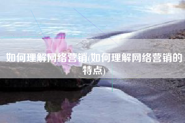 如何理解网络营销(如何理解网络营销的特点)