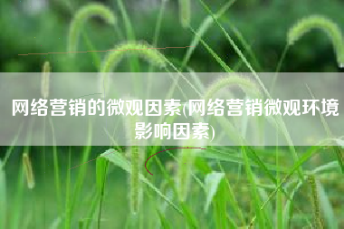 网络营销的微观因素(网络营销微观环境影响因素)