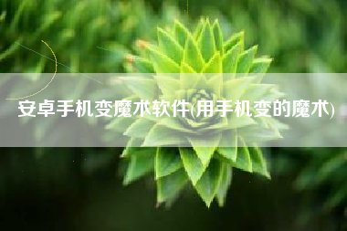 安卓手机变魔术软件(用手机变的魔术)