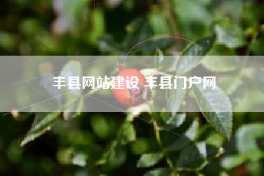 丰县网站建设 丰县门户网