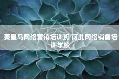秦皇岛网络营销培训班 河北网络销售培训学校
