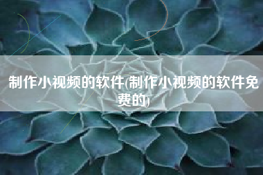 制作小视频的软件(制作小视频的软件免费的)