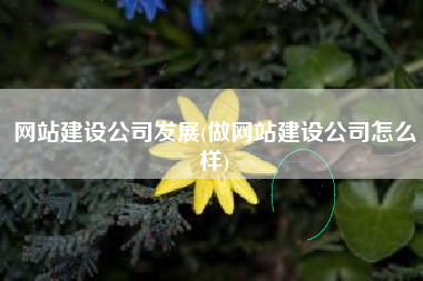 网站建设公司发展(做网站建设公司怎么样)