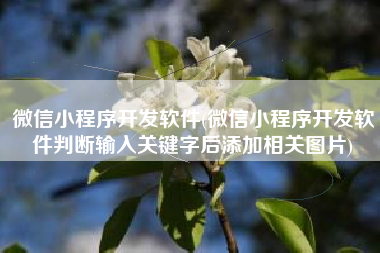 微信小程序开发软件(微信小程序开发软件判断输入关键字后添加相关图片)